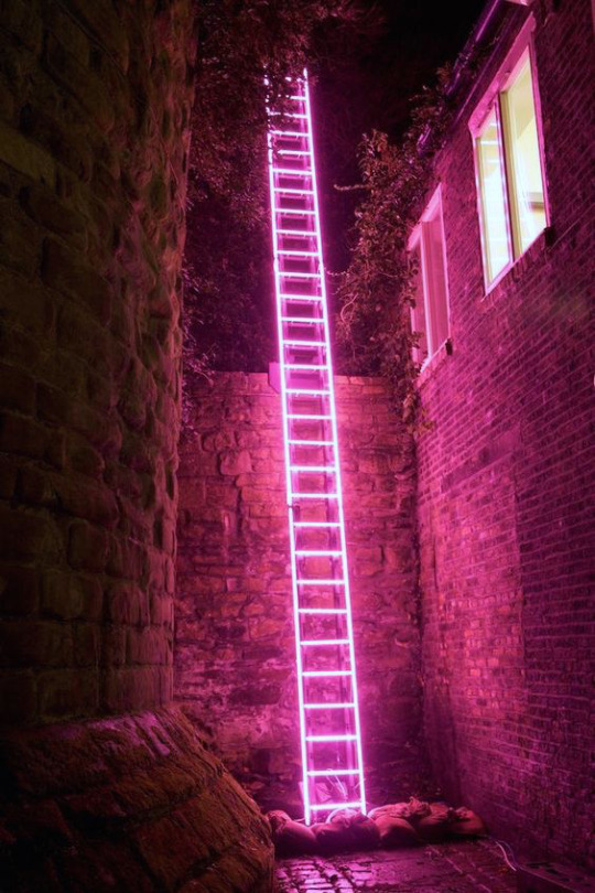 'Echelle' by Ron Haselden at 'Lumiere'. Produced by Artichoke in Durham, 2009. Photo copyright Matthew Andrews.